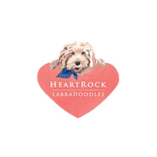 labradoodles heartrock