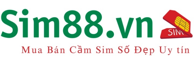 VN sim88