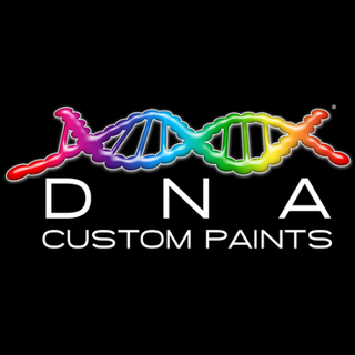 PAINTS DNA CUSTOM 