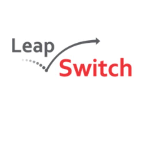 Networks LeapSwitch 