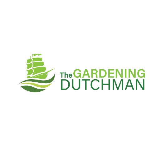 Dutchman  The Gardening