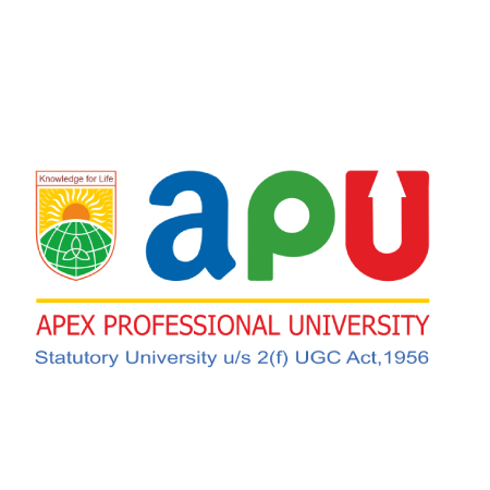 University Apex Professional