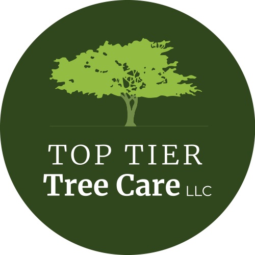 or toptiertreecare