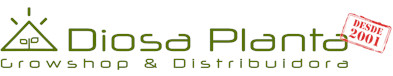 planta diosaplanta