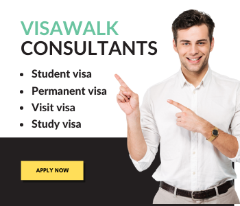 VisaWalk SEO