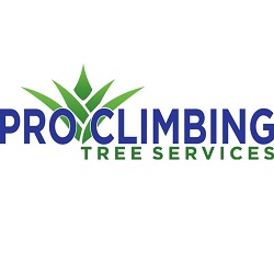 Tree Services Pro Climbing