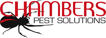 Solutions Chambers Pest