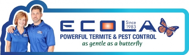 Services   Ecola Termite and Pest Control 