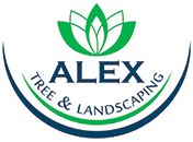 Garden Services Alex Tree and