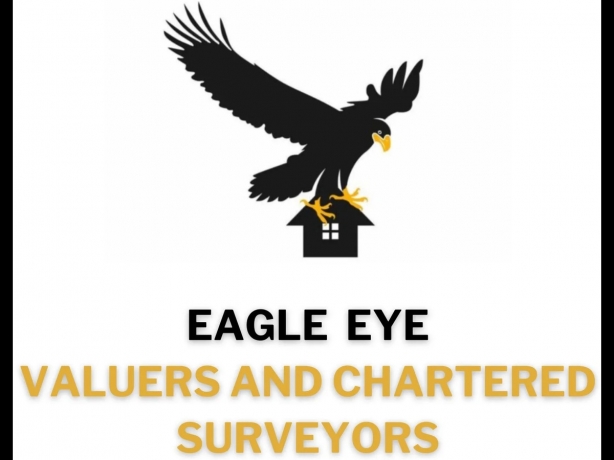 Eagle Eye Surveying