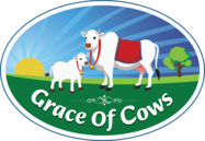 Cows Grace of 