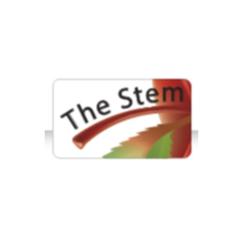 Group The Stem