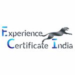 India Experience Certificate