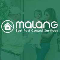 Pest Control Malang