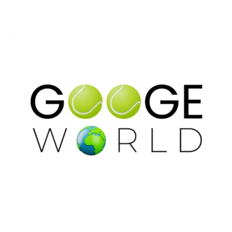 Googe World