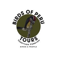 Tours Birds of Peru 