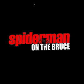 Spiderman On The Bruce