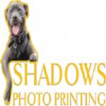 Printing Shadows Photo 