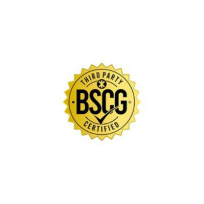 LLC BSCG 