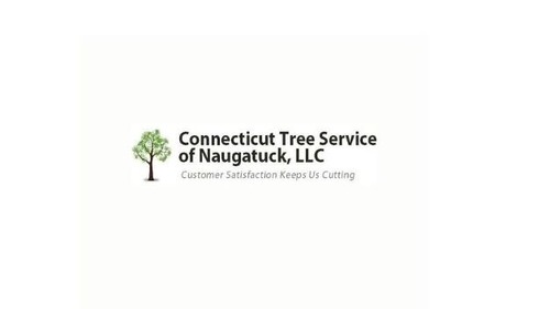 Tree Service  Connecticut