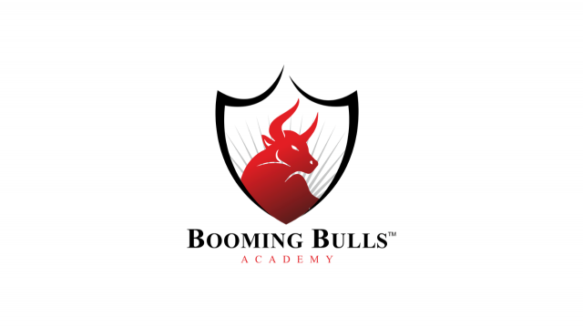 Academy Booming Bulls