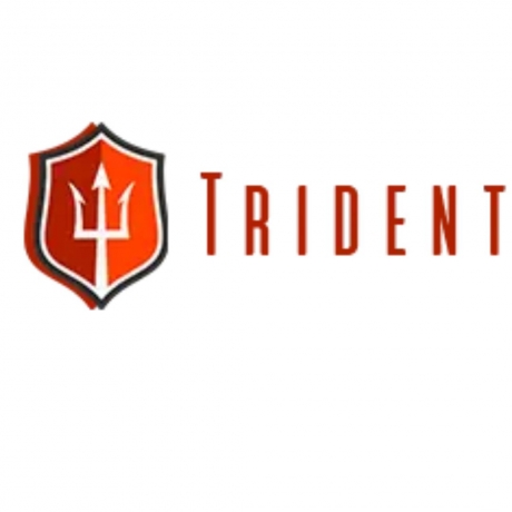 TRADING PTE. LTD. TRIDENT SHIPPING 