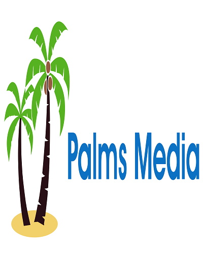 Palms Media Web Design -