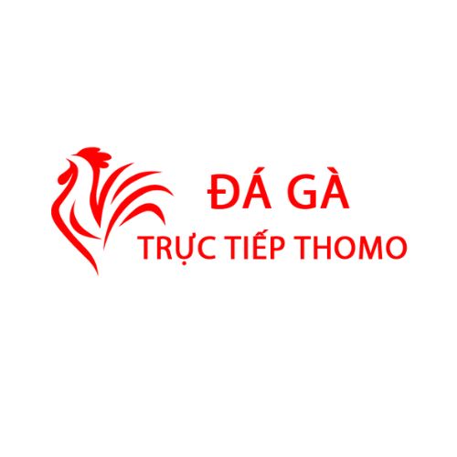 Thomo Hôm Nay Đá Gà Trực Tiếp 