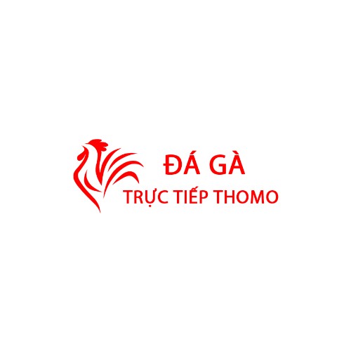 Thomo Hôm Nay Đá Gà Trực Tiếp