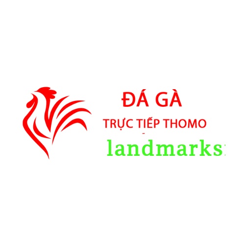 Thomo Hôm Nay Đá Gà Trực Tiếp