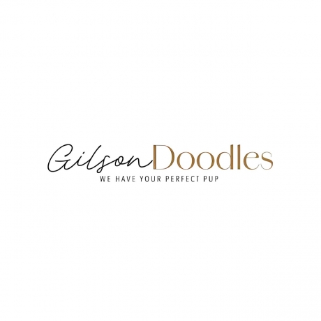 Doodles Gilson