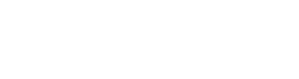 Software Solution Young Decade IT