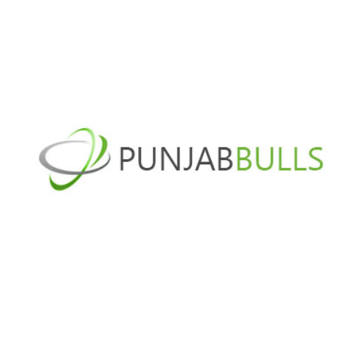  Punjabbulls Technology