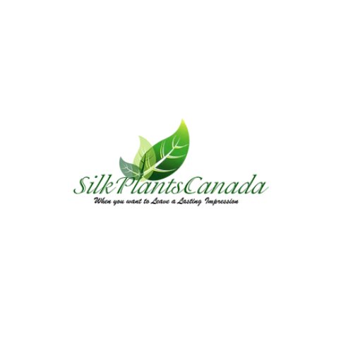 Canada Silk Plants