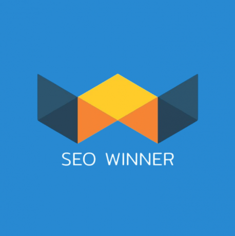 seo wynnsoft
