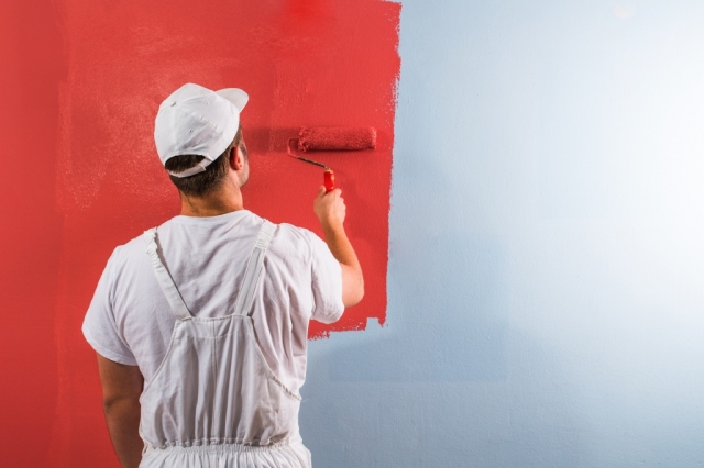 Services Dubai Antifungal Wall Painting 