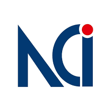 consulting Netrika