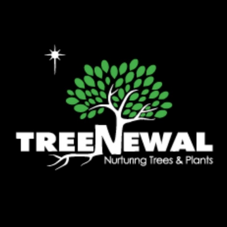 Certified Arborist TreeNewal