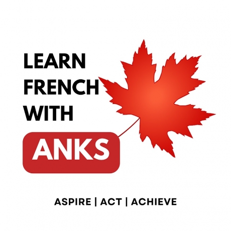 With Anks Learn French