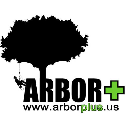 Plus Arbor