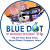 Trip BlueDot