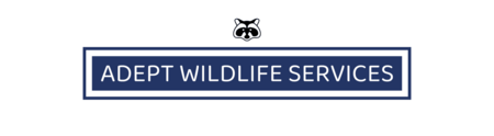 Services Adept Wildlife 