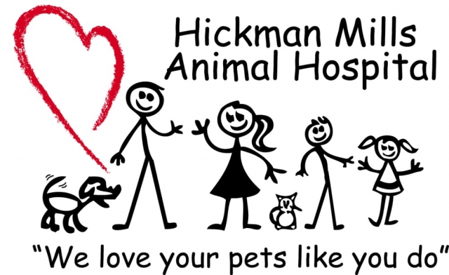 Animal Hospital Hickman Mills