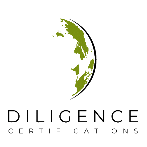 Digital Diligence