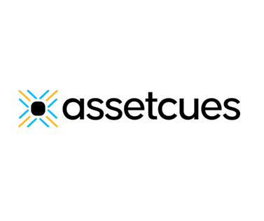 Cues Asset