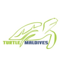 Turtle Maldives