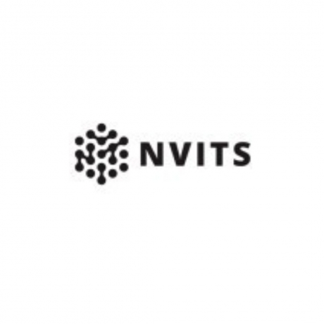 IT Solutions Nvits- Nevada