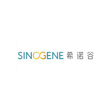 gene Sino