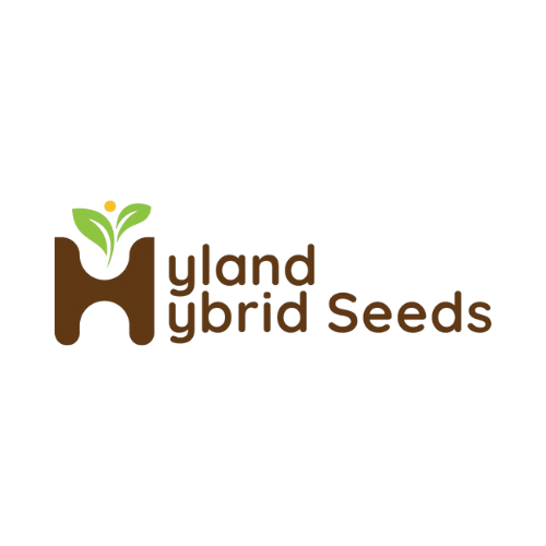 Seeds Hyland Hybrid