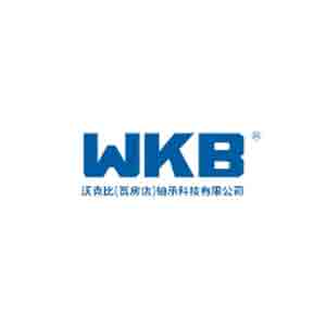 wkbbearing com